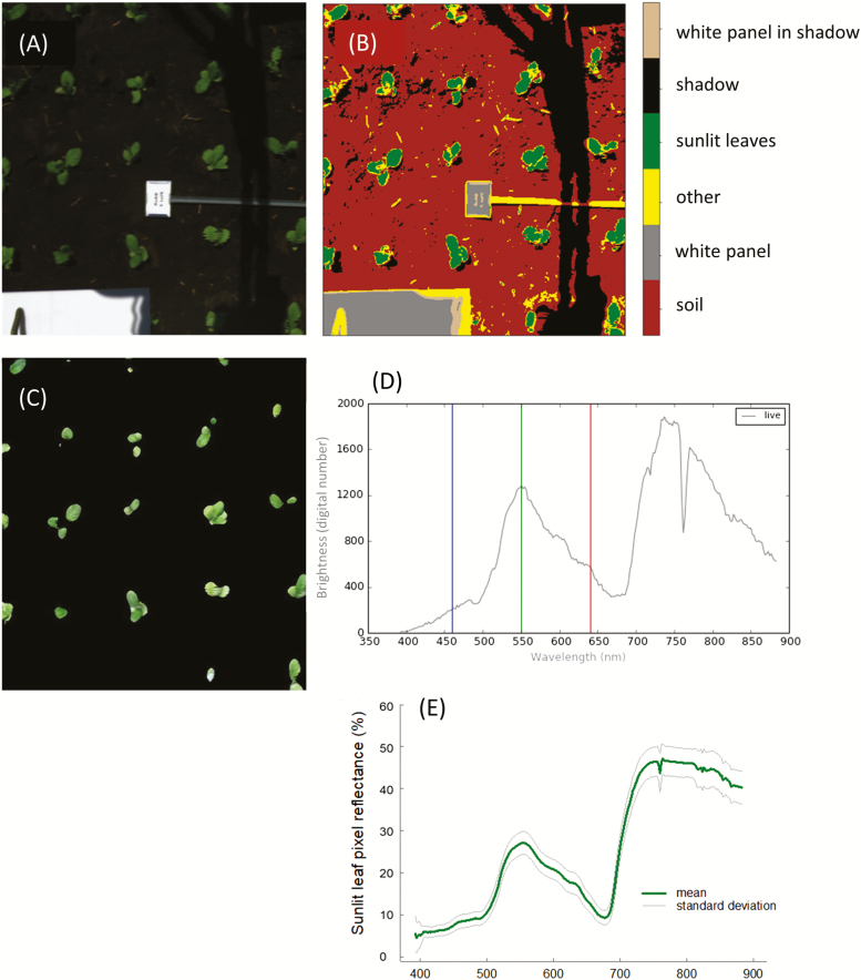 Fig. 2.