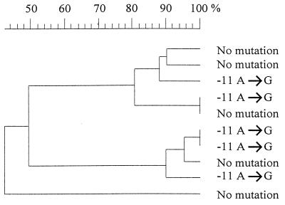 FIG. 1