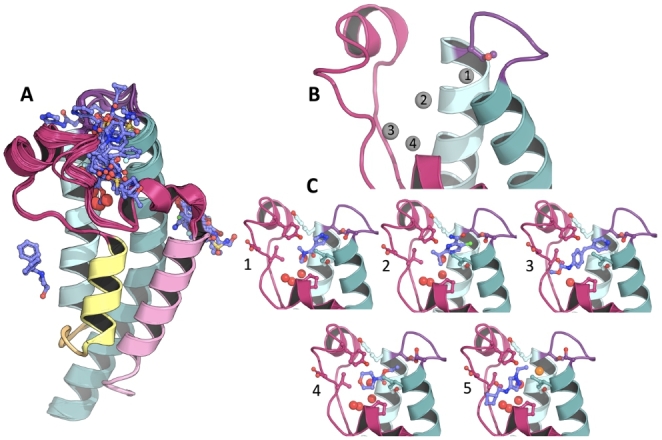 Fig. 2