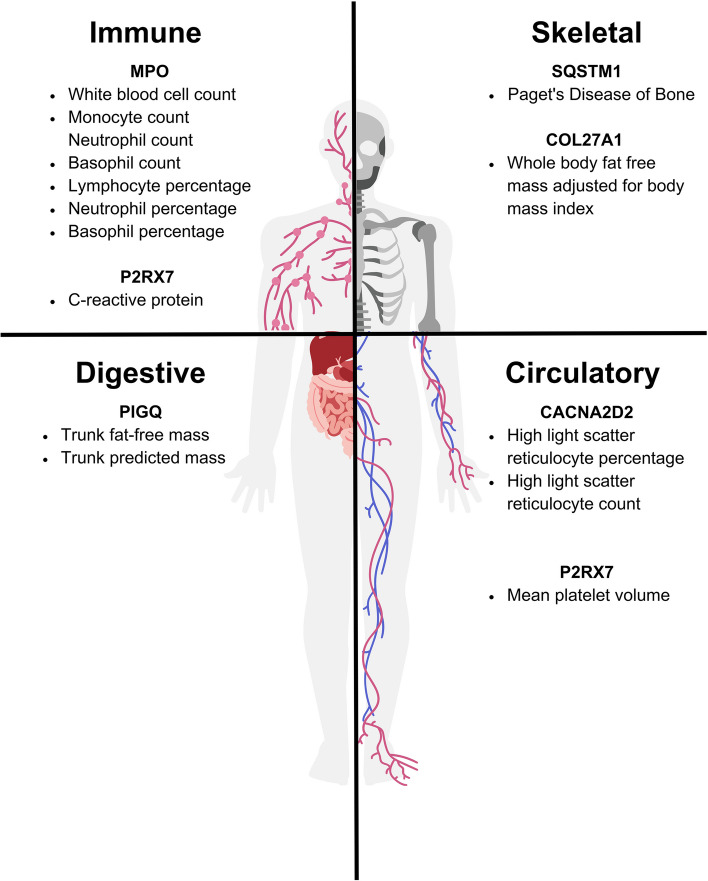 Fig. 4