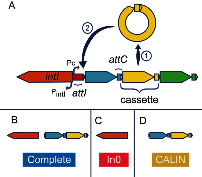 Figure 1.