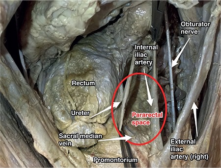 Figure 19