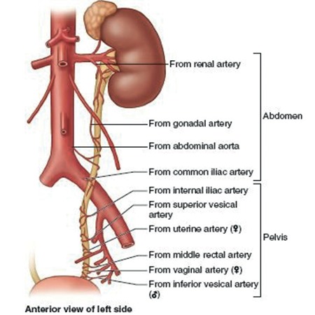 Figure 11