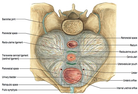 Figure 14