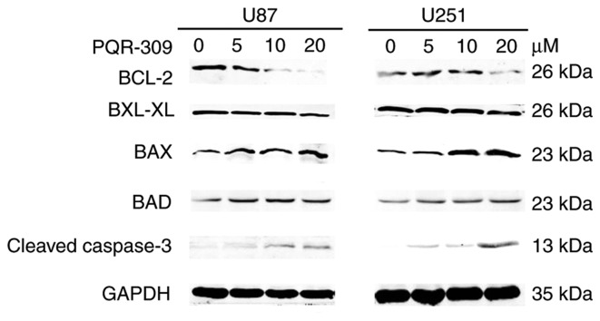 Figure 9.