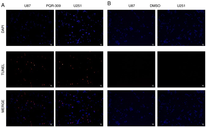 Figure 10.