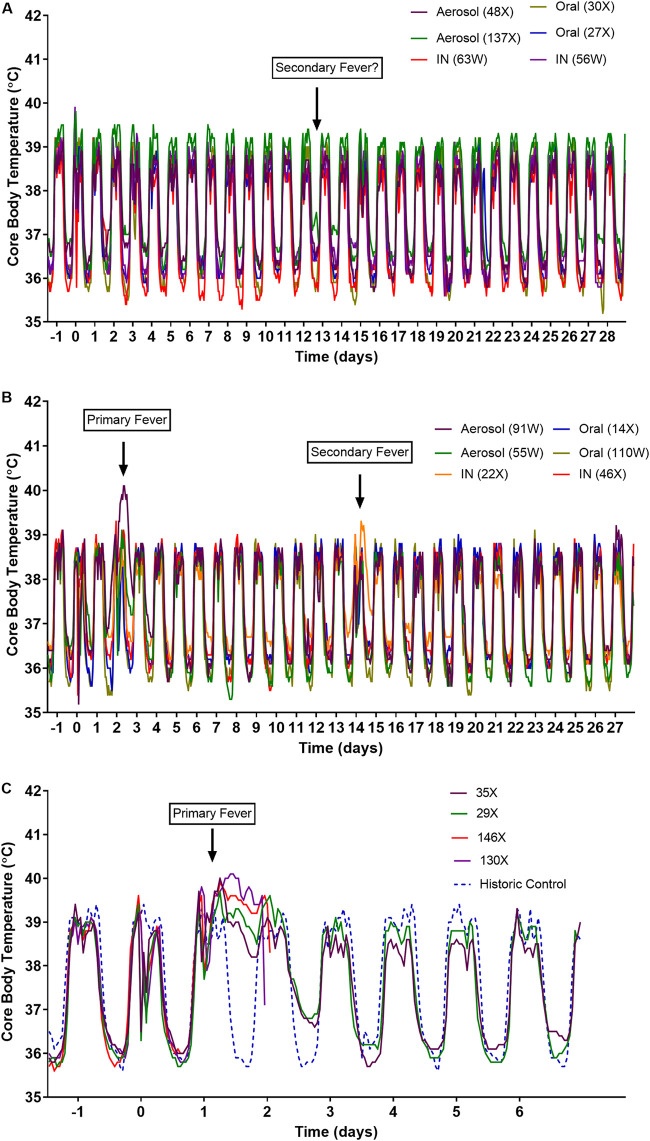 FIG 3