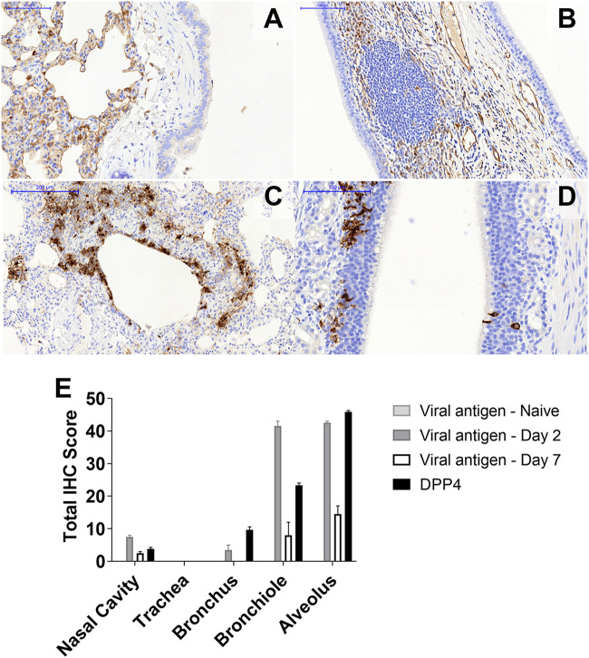 FIG 6