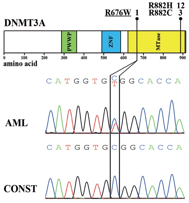 Figure1.