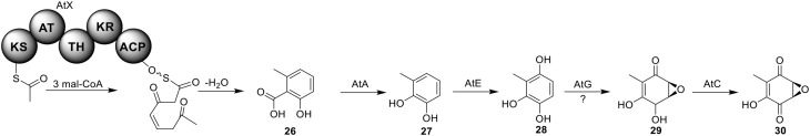 Figure 7