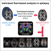 Graphical abstract