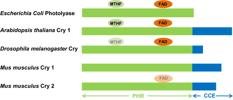 Fig. 3