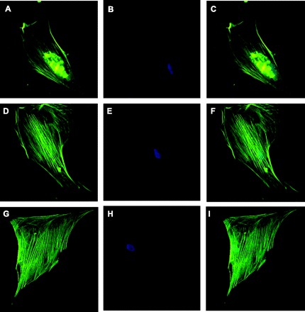 Fig. 10.