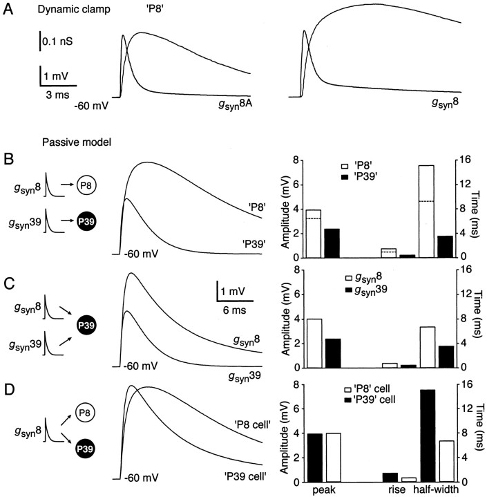 Figure 7.