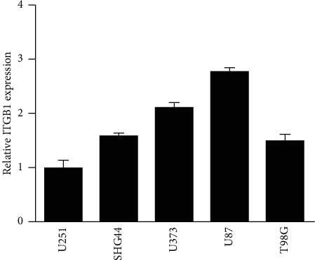 Figure 5