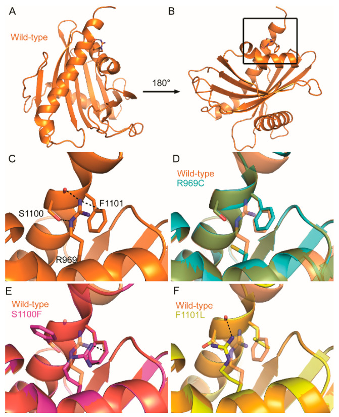 Figure 6