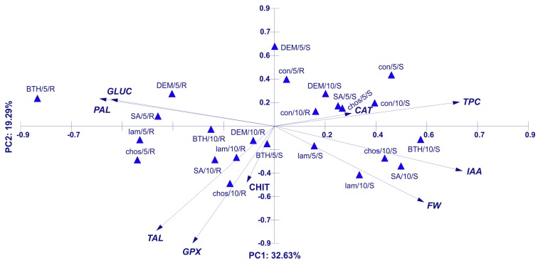 Figure 19