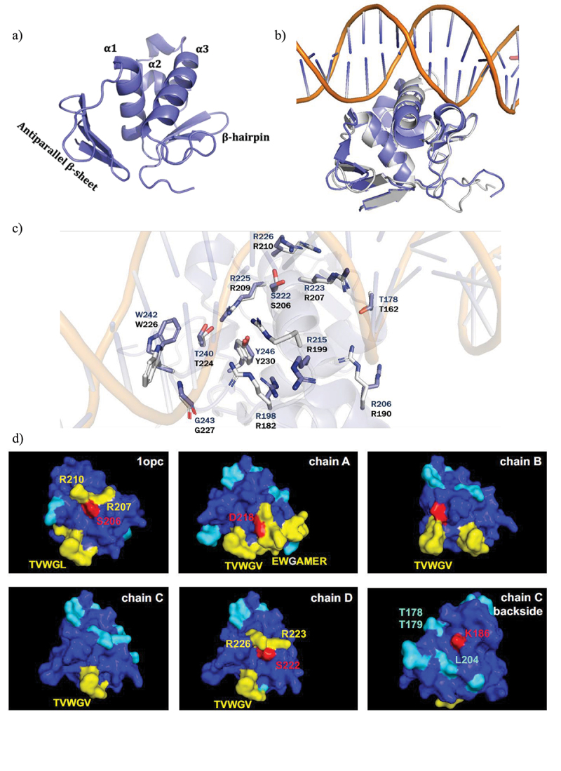 Figure 5.