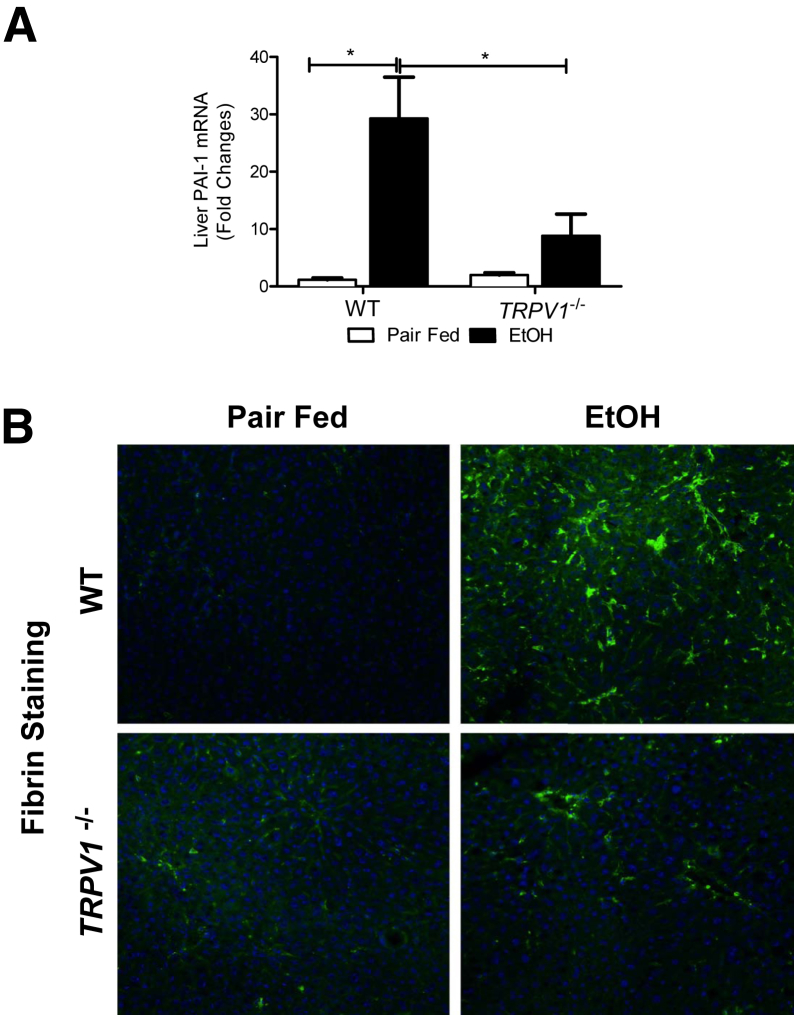 Figure 6