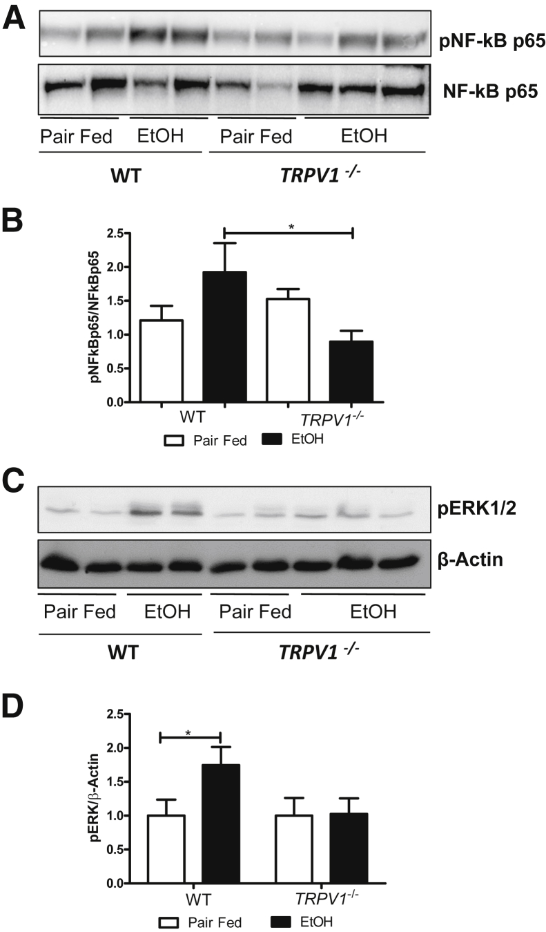 Figure 7