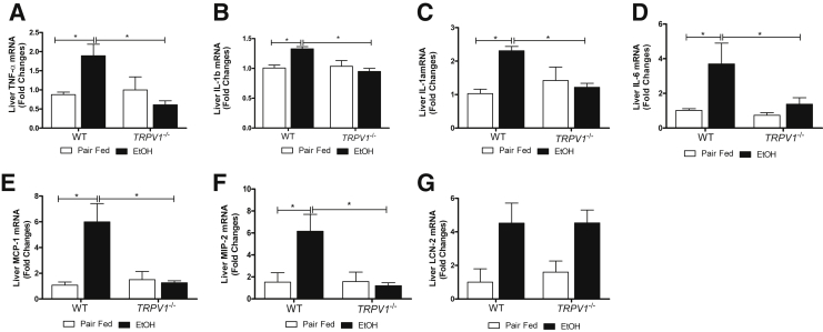 Figure 5