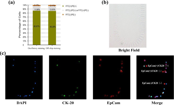 FIG. 7.