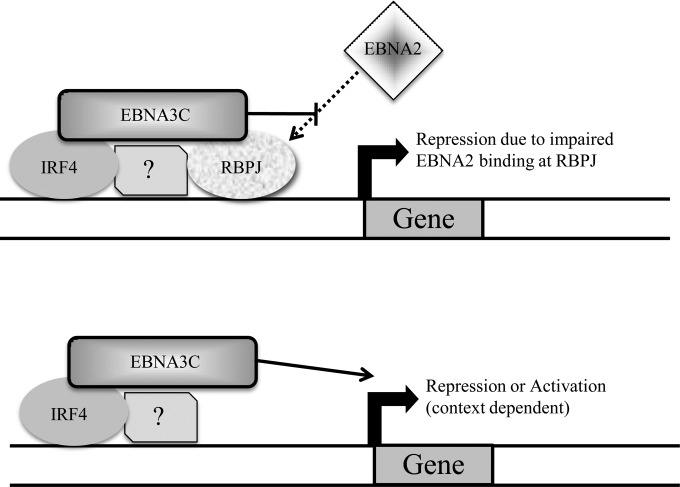 FIG 10