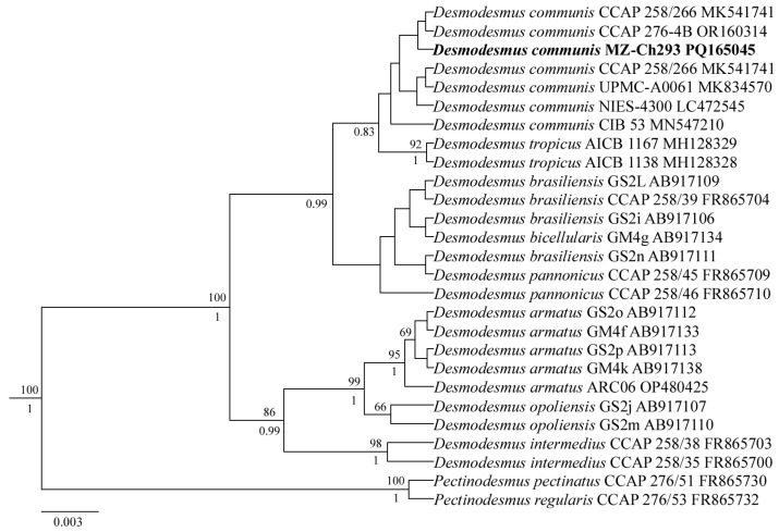 Figure 6