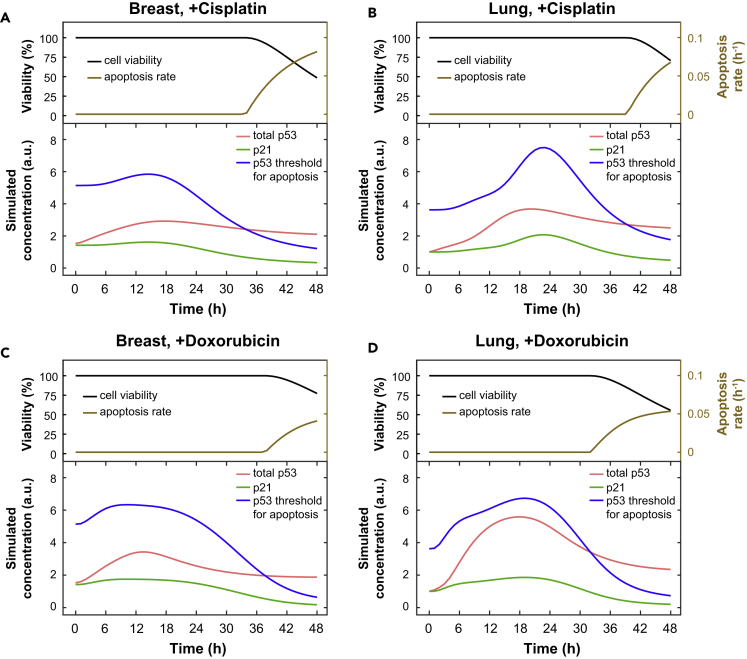 Figure 6