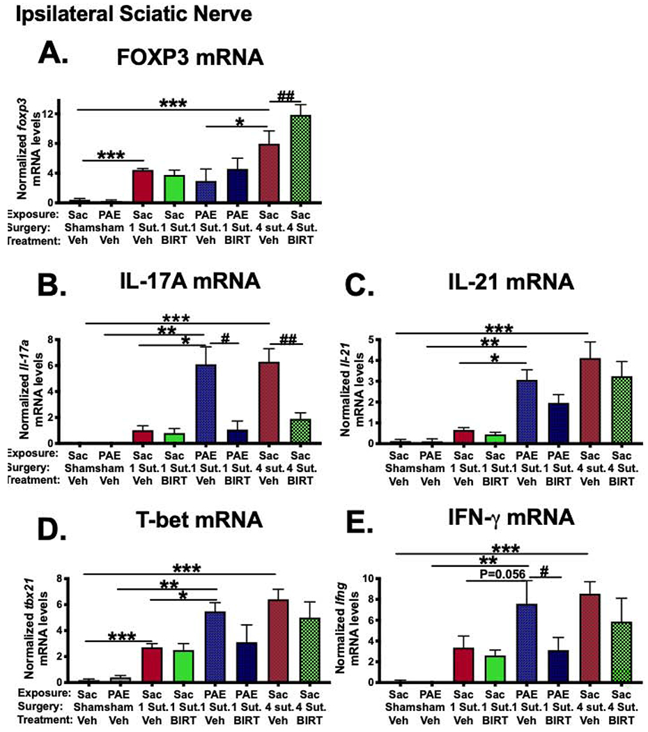 Fig 3: