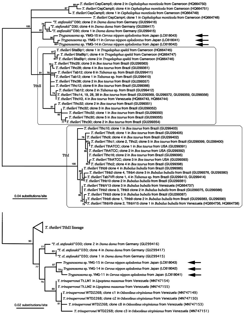 Fig. 6.