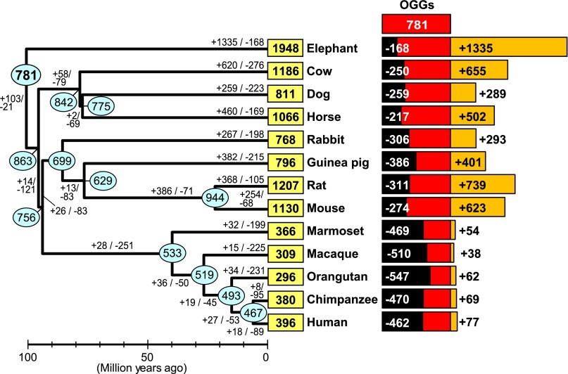 Figure 6.