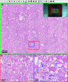 Fig. 5.