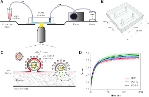 FIGURE 1.