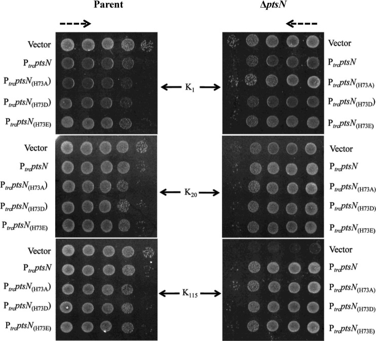 FIG 6