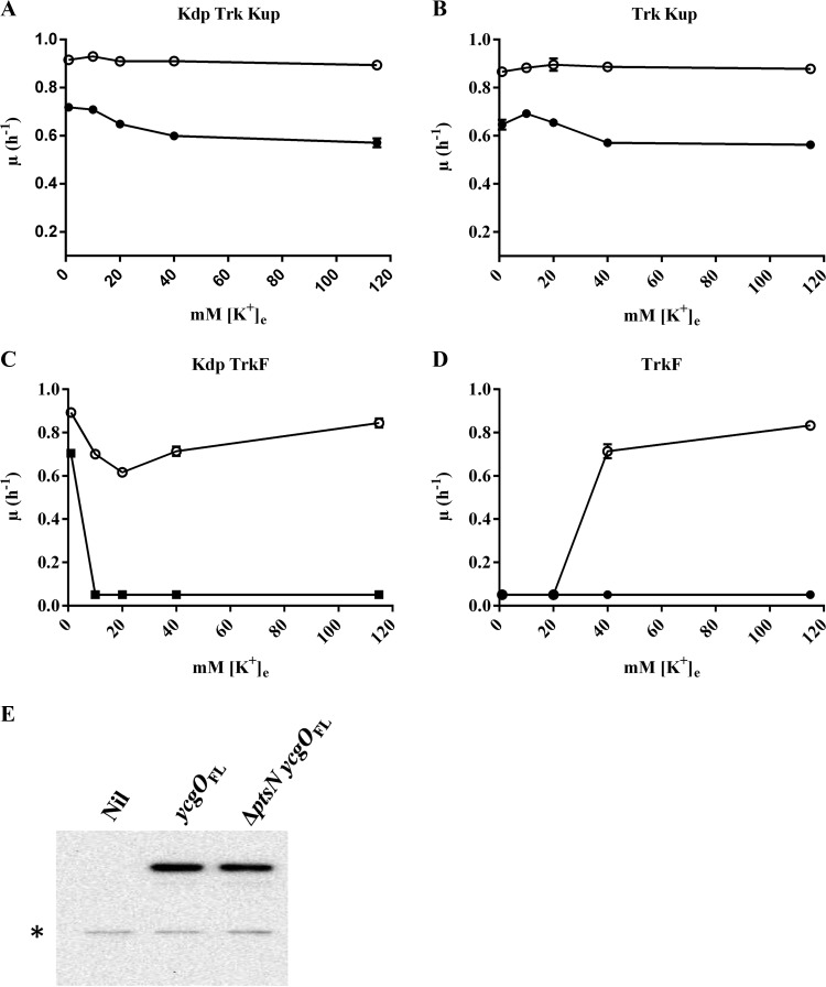 FIG 5