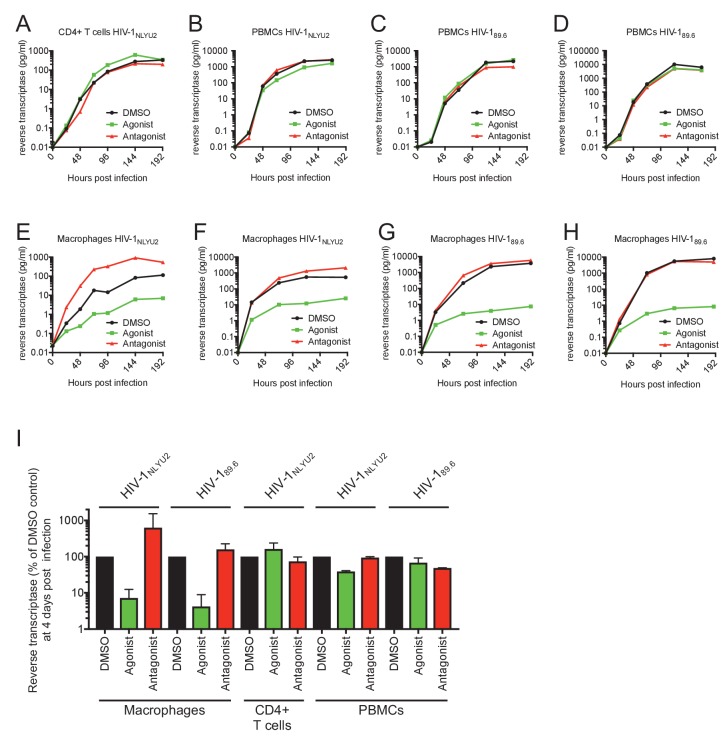 Figure 1—figure supplement 1.