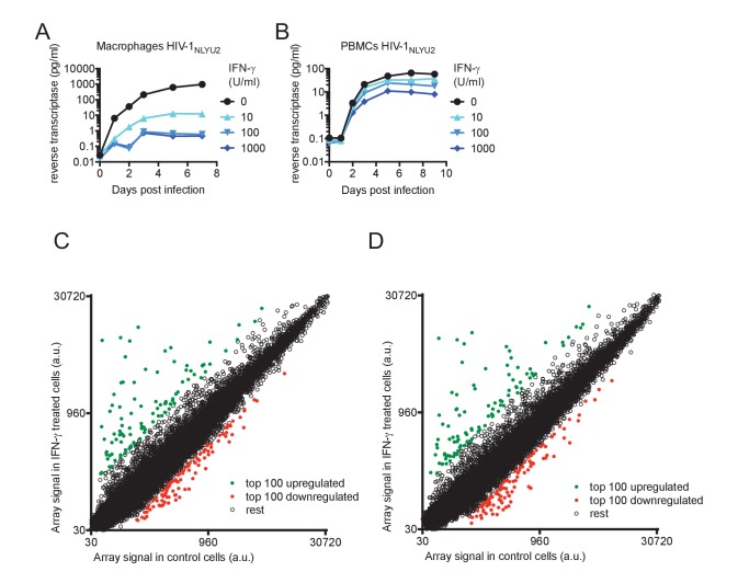 Figure 4—figure supplement 1.