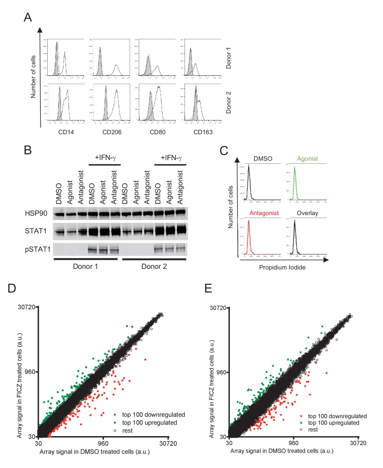 Figure 1—figure supplement 2.