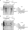 FIG 6