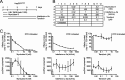 FIG 12