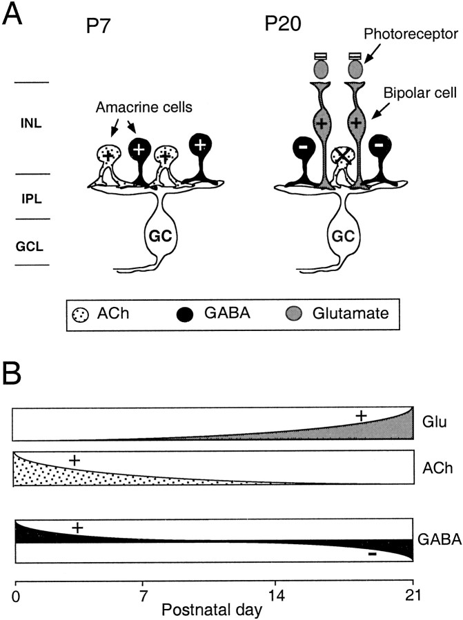 Fig. 10.