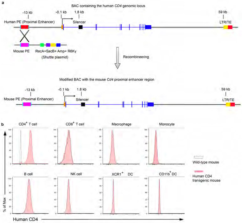 Extended Data Fig. 4 ∣