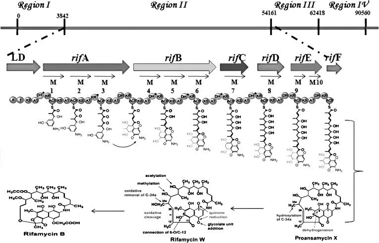 Fig. 3