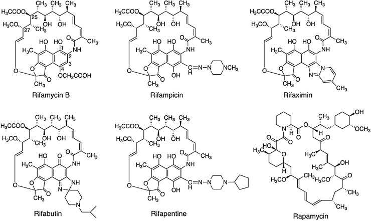 Fig. 2