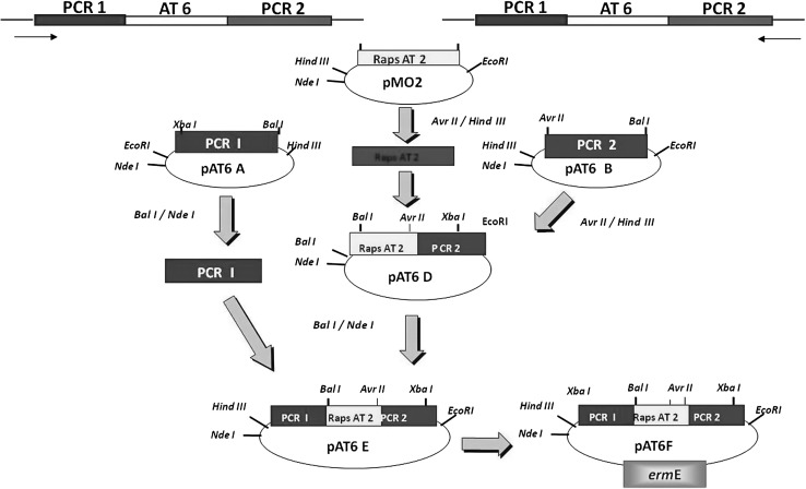 Fig. 4