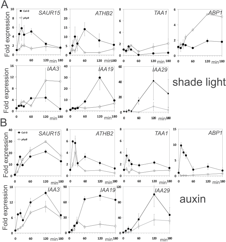 Fig. 8.