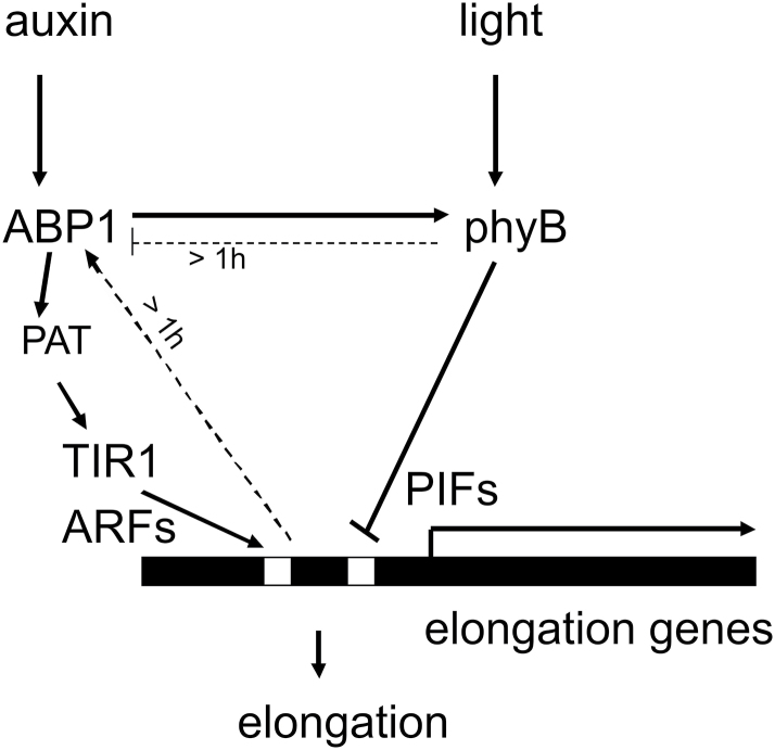 Fig. 9.