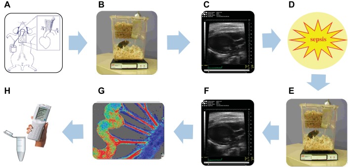 Fig. 6.