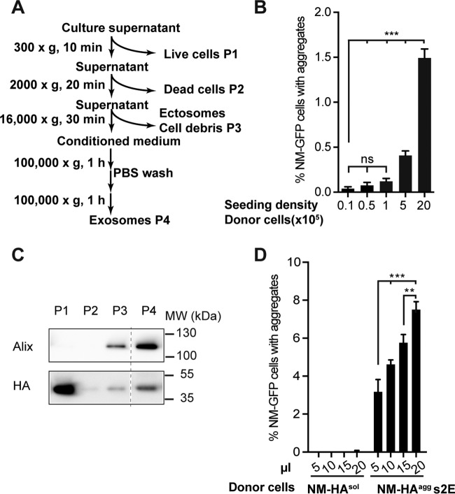 FIG 2 